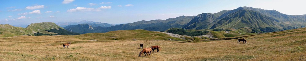 cavalli sul Monte Cusna-App.no Reggiano