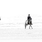 CAVALLI SULLA SPIAGGIA - CHEVAUX SUR LA PLAGE