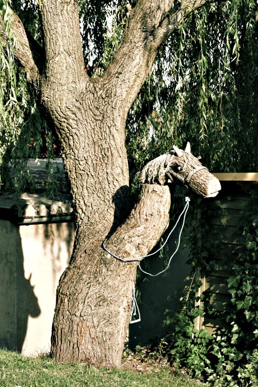 Cavallo a dondolo