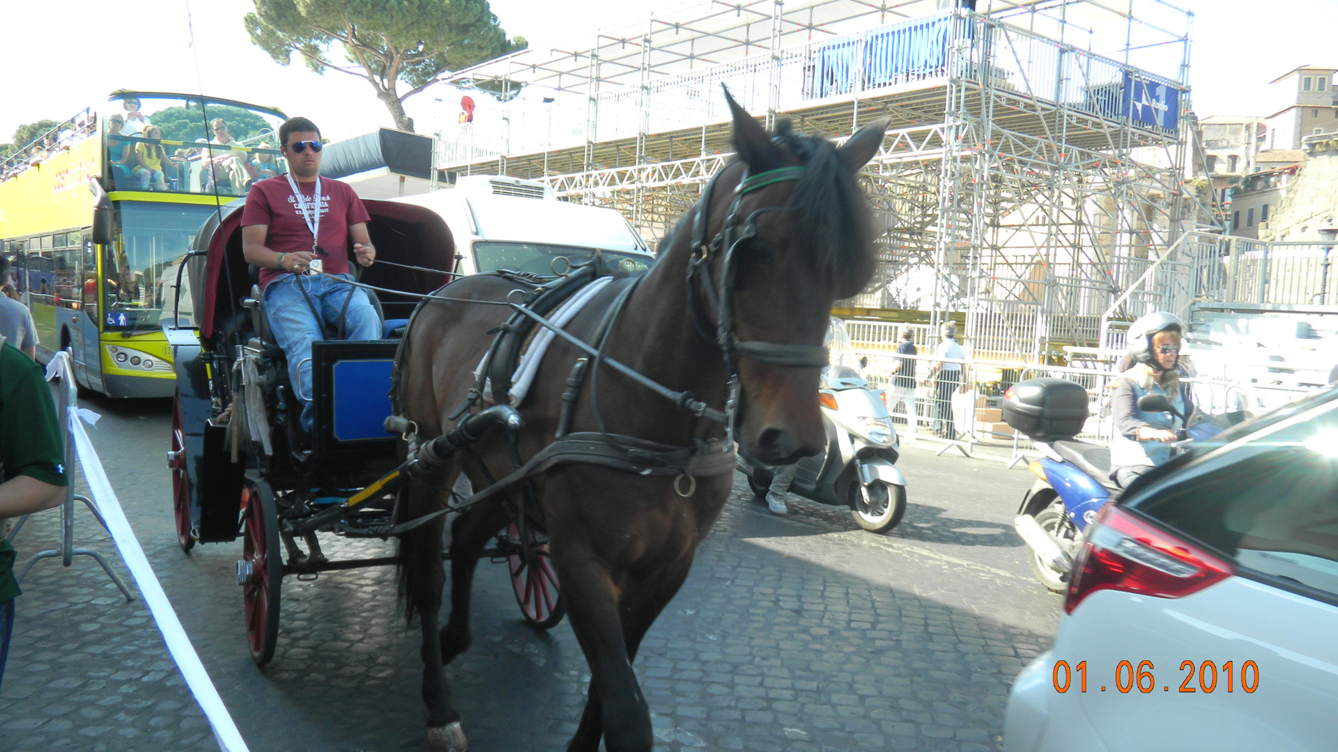Cavallo triste in mezzo al traffico di Roma