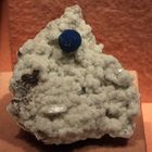 Cavansite on stilbite @ Mineralogisches Museum Hamburg