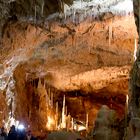 Cave bears - Apuseni - Romania