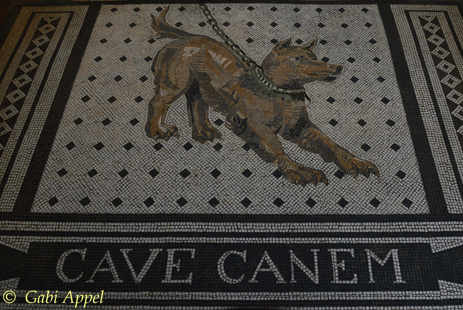 cave canem