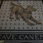 cave canem