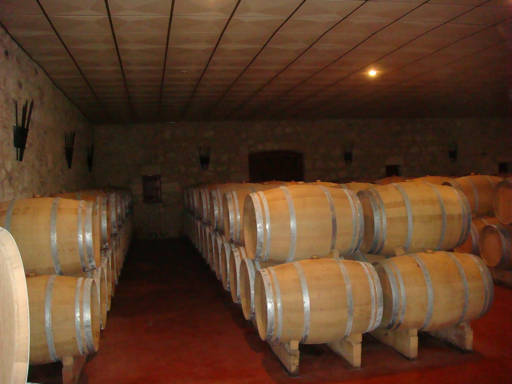 cave dans le médoc..... qui veut gouter au bon vin ?