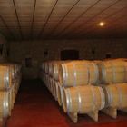 cave dans le médoc..... qui veut gouter au bon vin ?