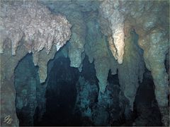 Cave Dive