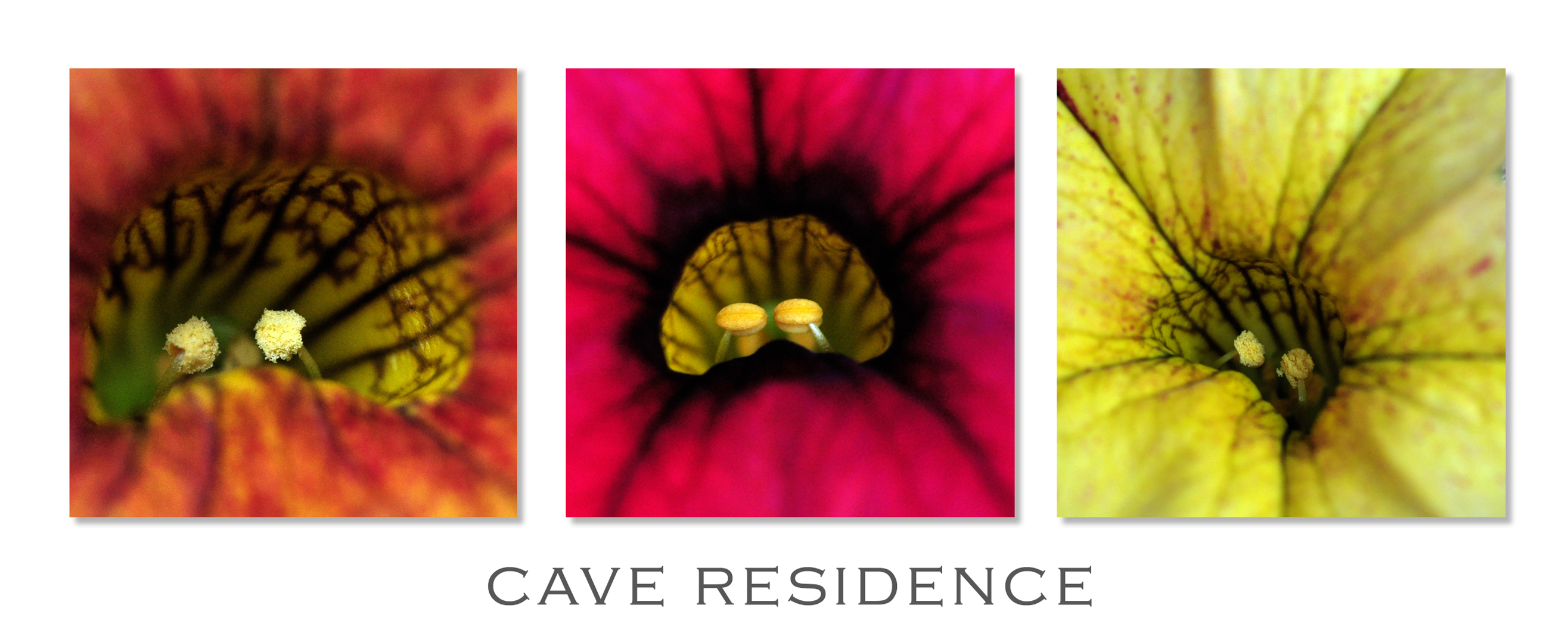 Cave Residence