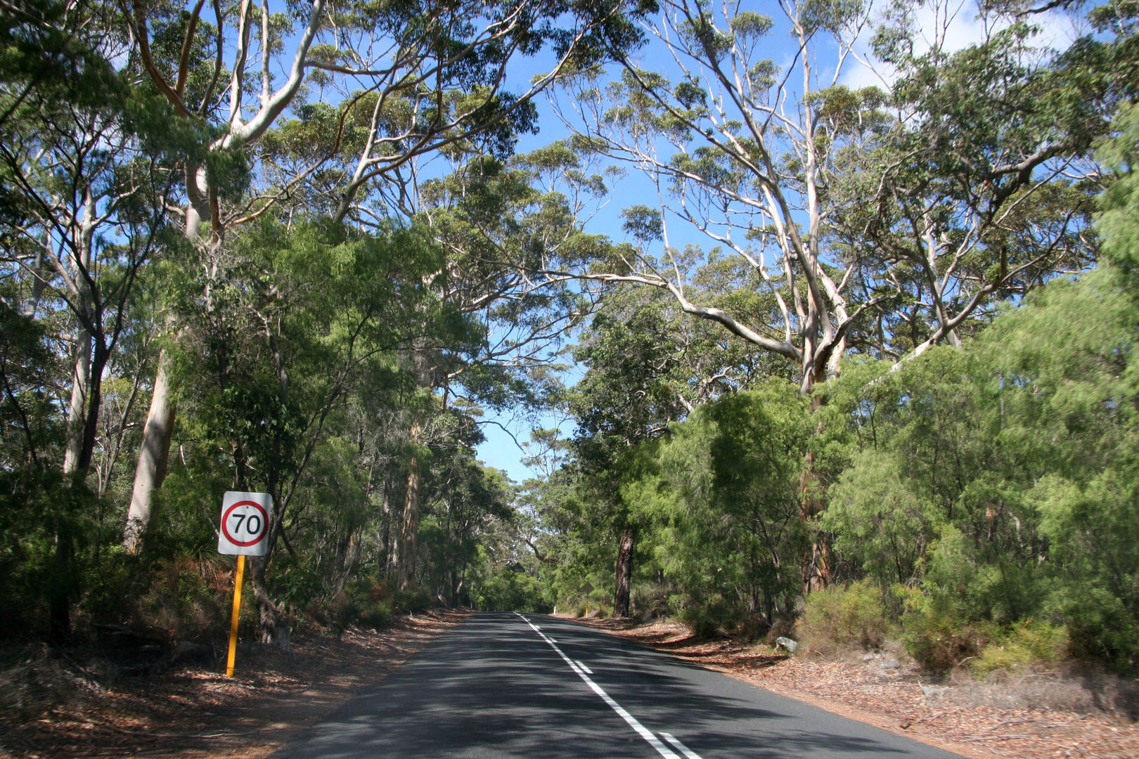 Cave Road