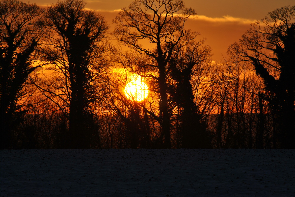 cave wood at sunset