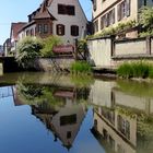 Caveau du Chatelet, Spiegelung in der Lauter !