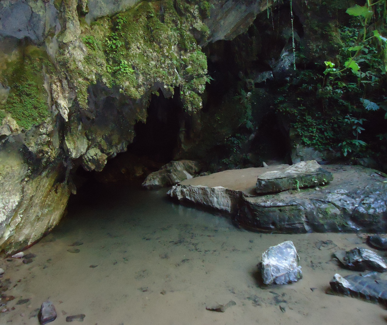 Cavernas do Brasil