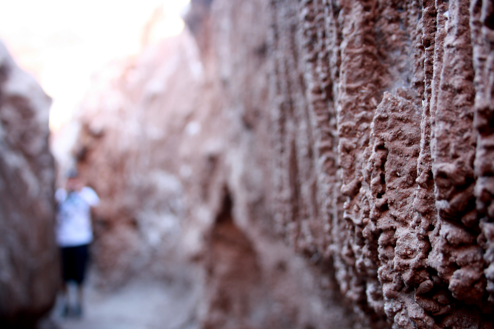 Cavernas salinas