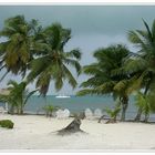 Caye Caulker