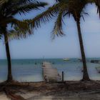 Caye Caulker1