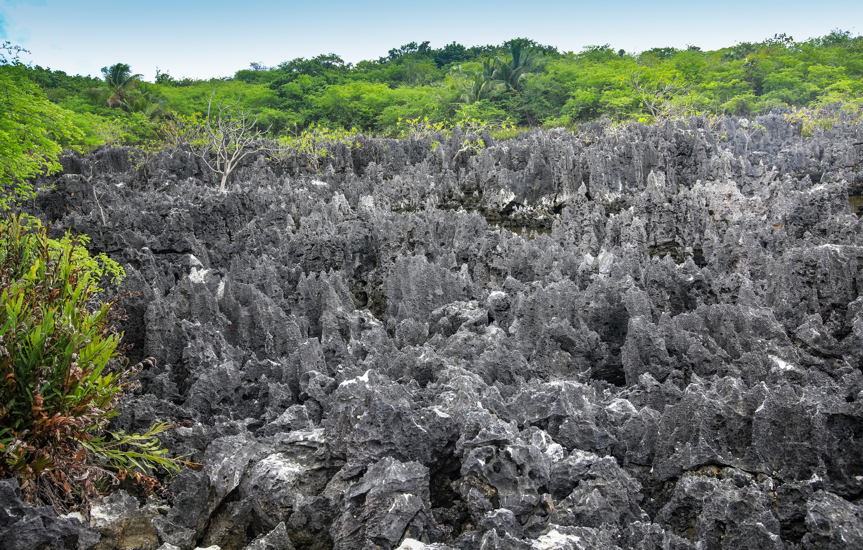 Cayman Islands 10