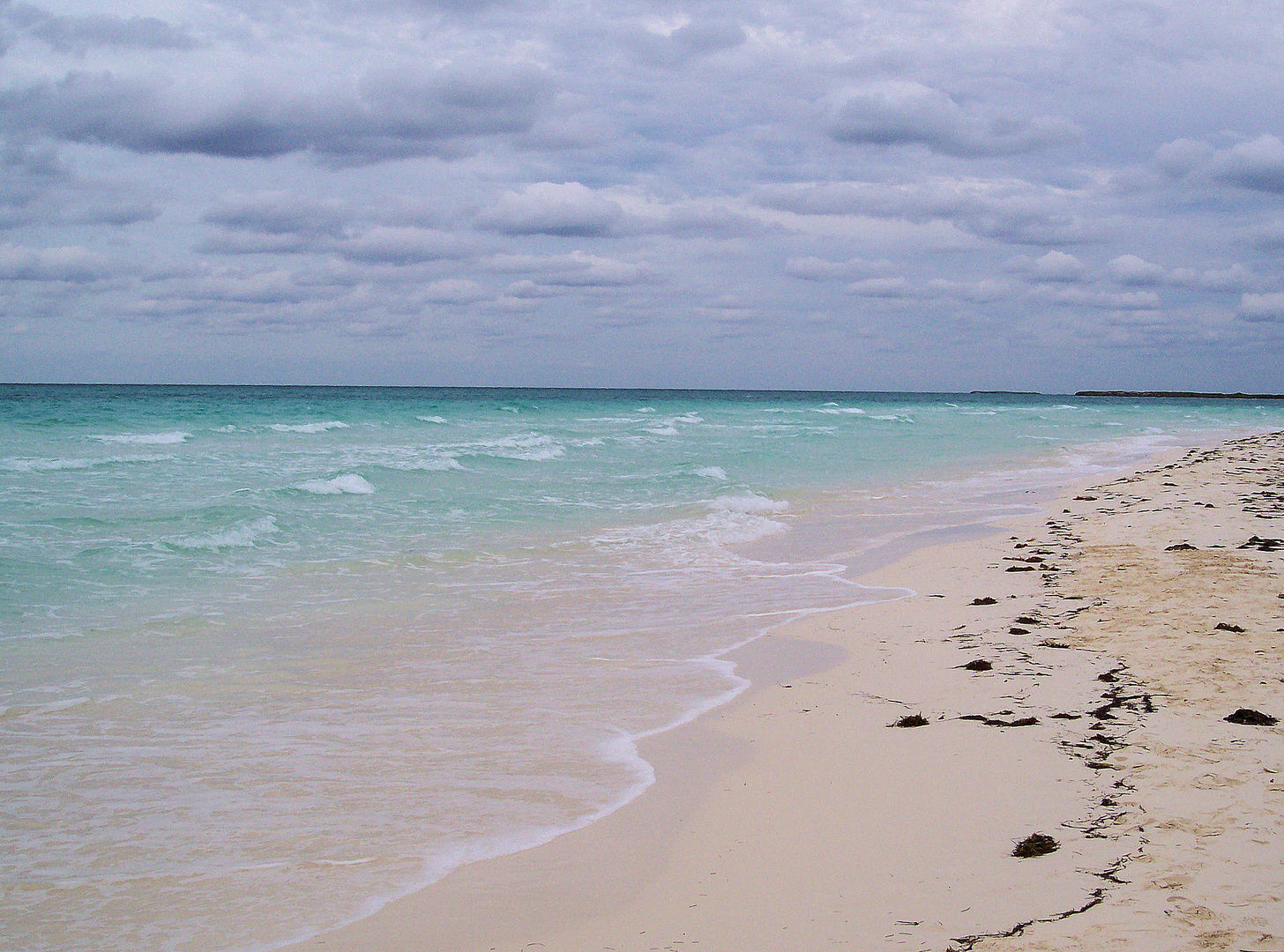 Cayo coco Cuba