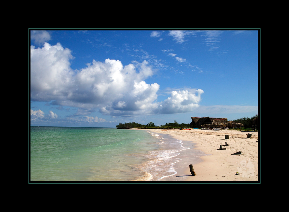 Cayo Jutias