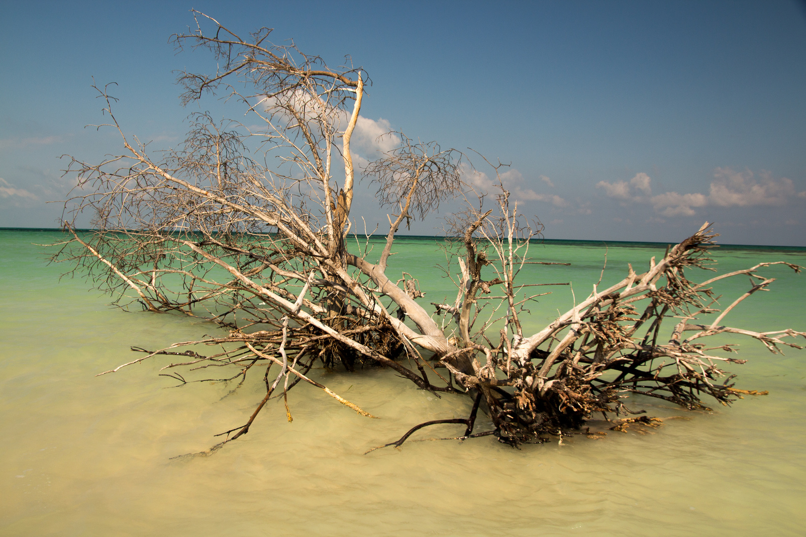 Cayo Jutias Beach