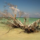 Cayo Jutias Beach