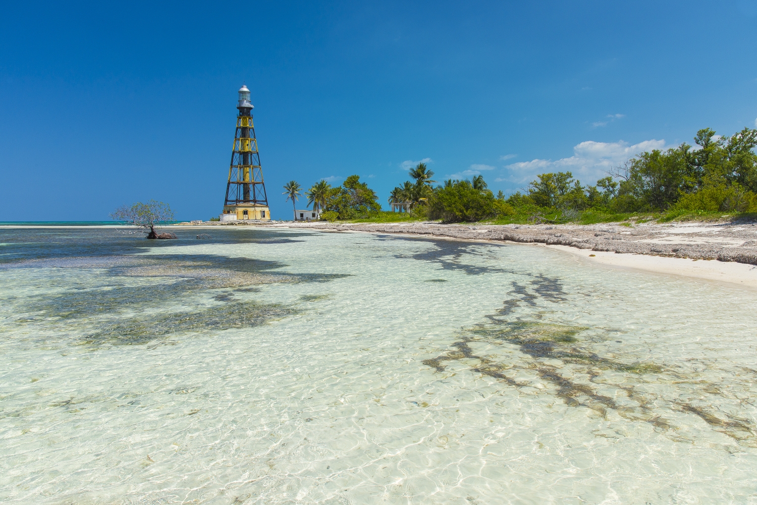 Cayo Jutias