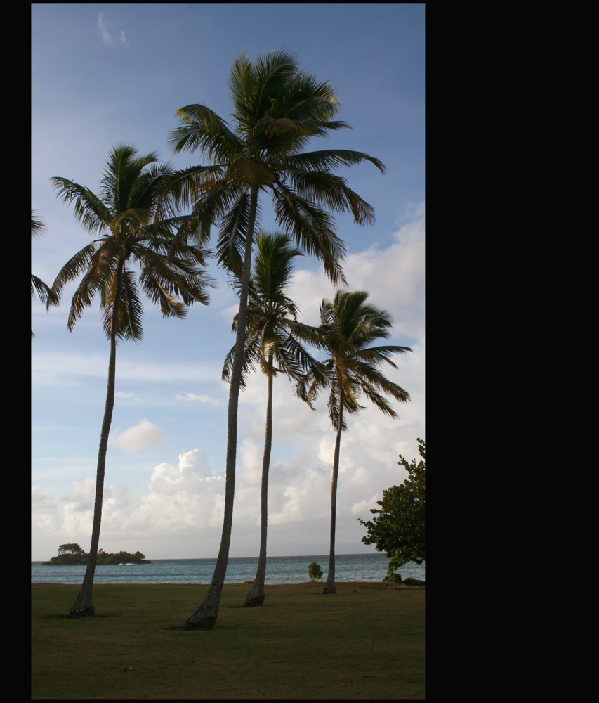 [ CAYO LEVANTADO ]