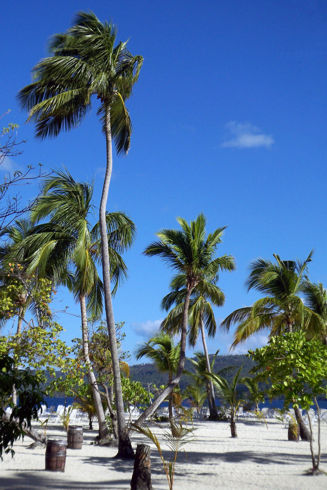 Cayo Levantado II