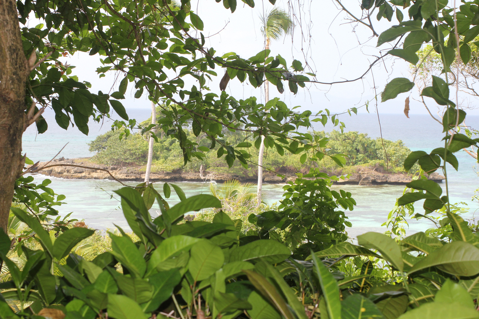 Cayo Levantado1