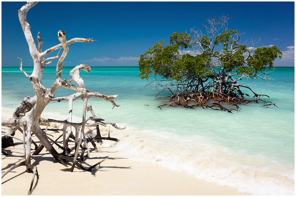 Cayo Levisa Foto & Bild | north america, central america, caribbean sea