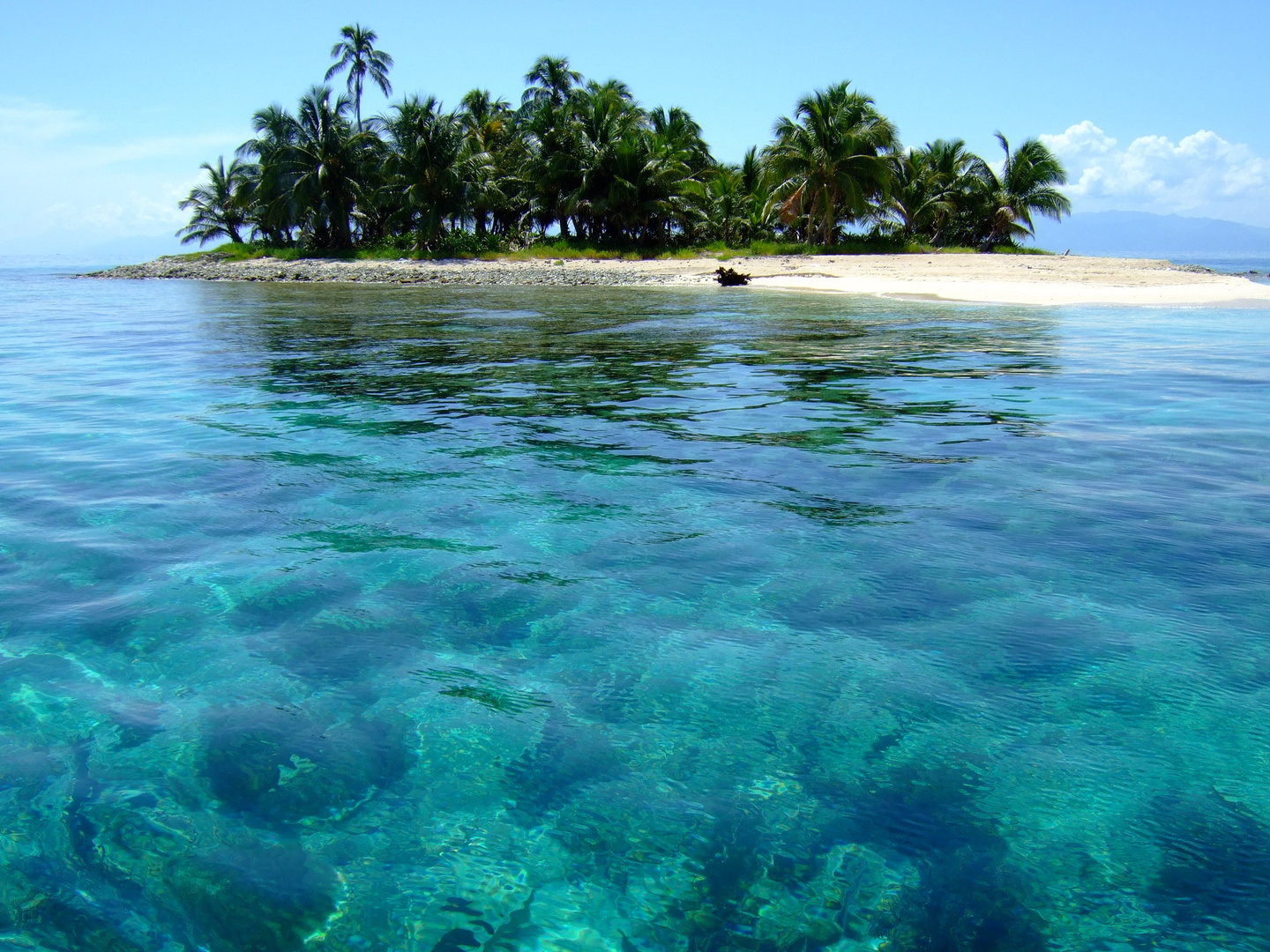 CAYO PALOMA