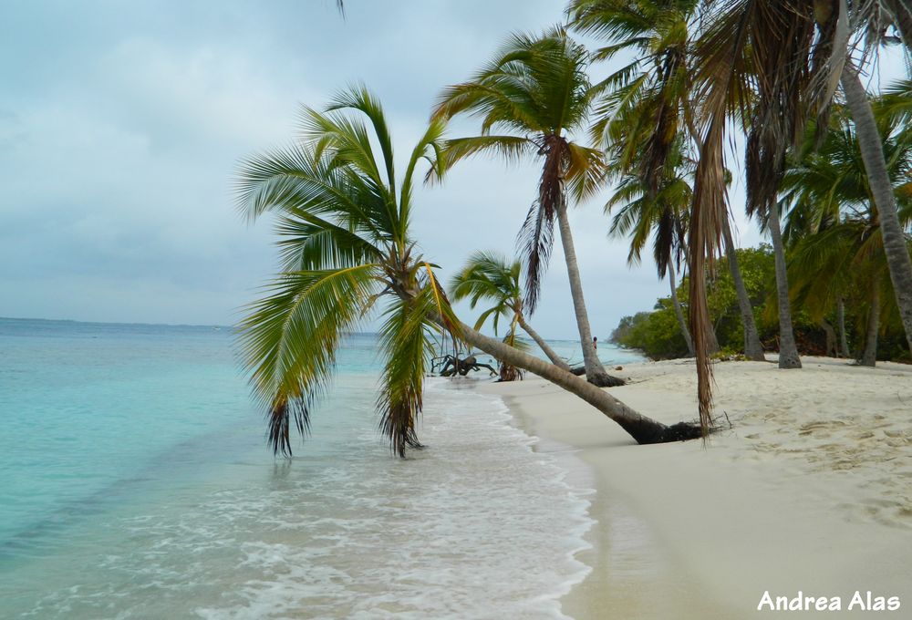 Cayo Sombrero