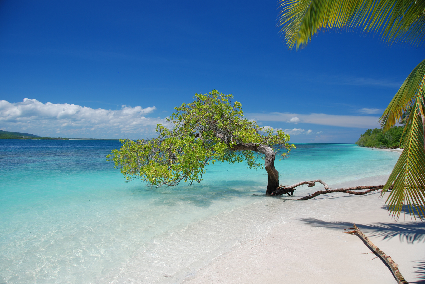 Cayo Sombrero - Parque Nacional Morrocoy