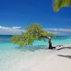 Cayo Sombrero - Parque Nacional Morrocoy