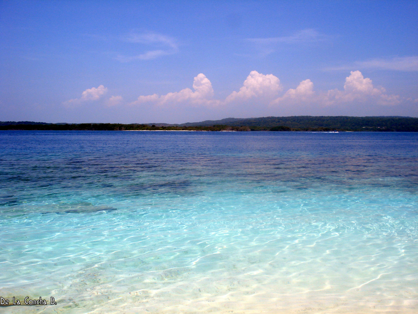 Cayo Sombrero. Venezuela