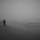 Cayucos Beach im Nebel