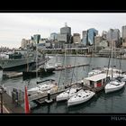 CBD III, from Darling Harbour, Sydney, NSW / AU