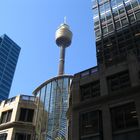 CBD - Sydney Tower