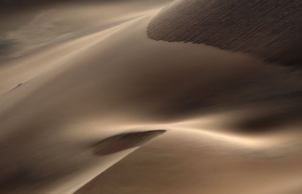 CBP_3542_02Sonnenstrahl am spaeten Nachmittag