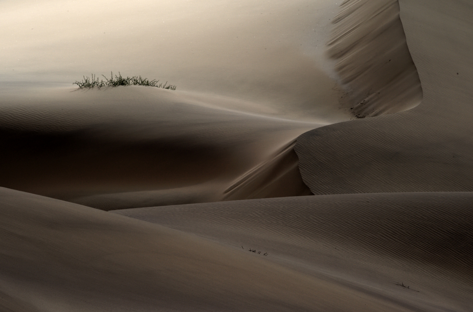 CBP_3726.  Sand