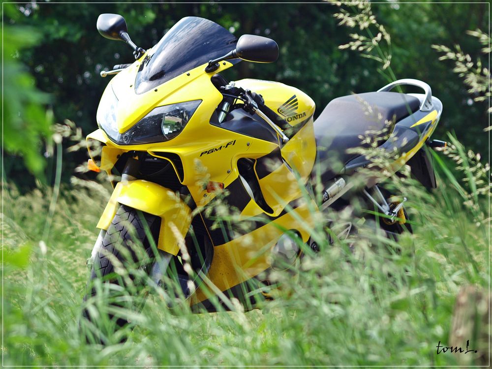 CBR 600 F