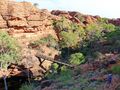 Grandios: der Kings Canyon im Watarrka NP von Australien by Frank G. P. Selbmann