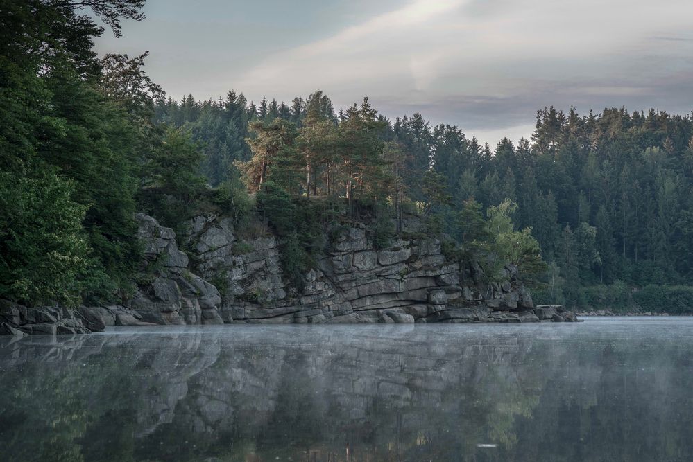 Im Waldviertel von Thomas Mitterer