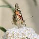 Distelfalter auf Flieder im Garten