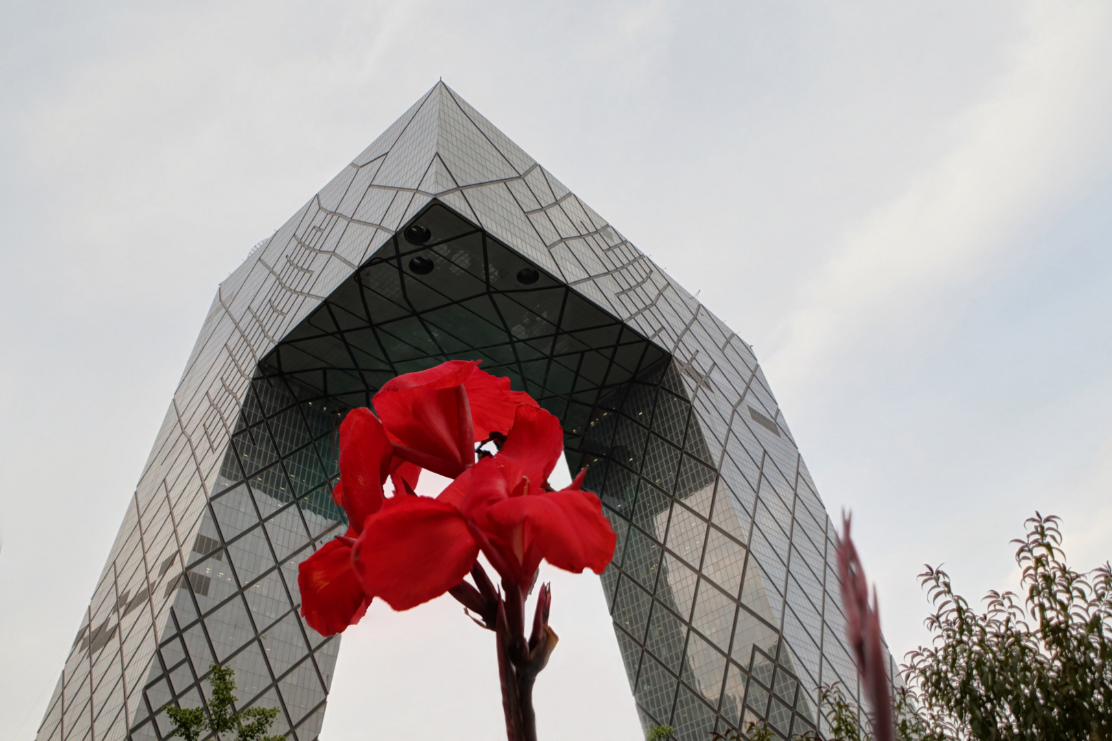 CCTV + flower  (or vice versa?)