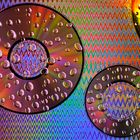 CD with water drops