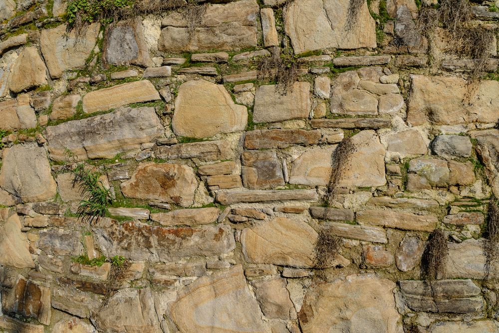 Sandstein und Natur von Rolf Trinoga 