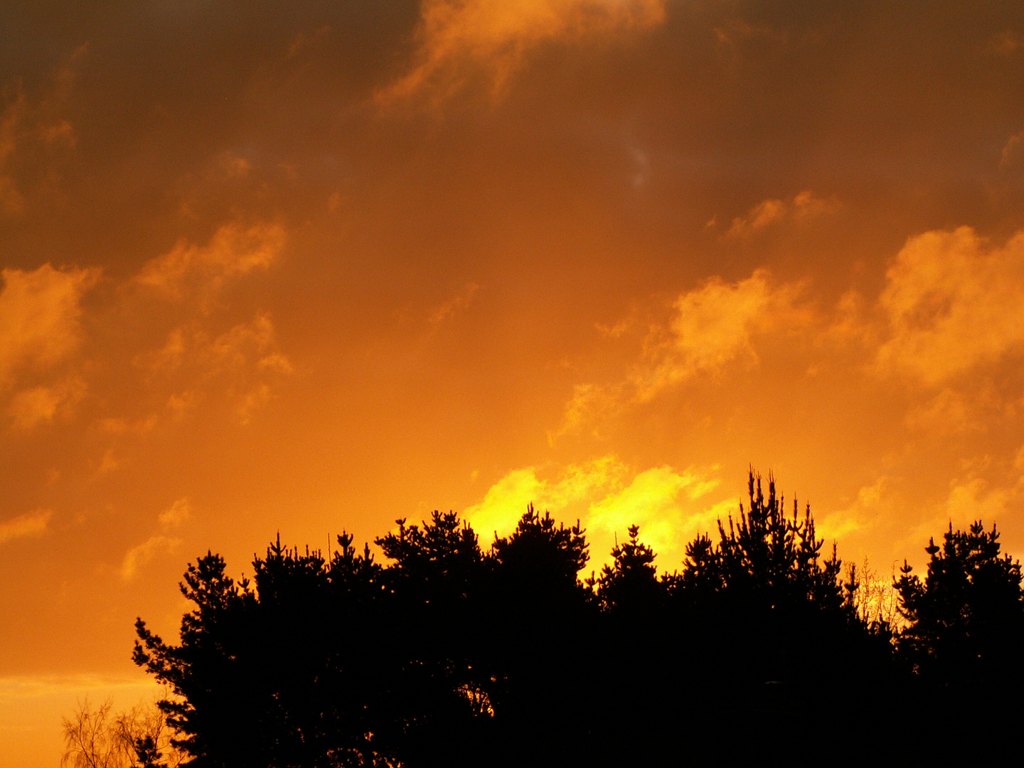 ce 1 janvier 2010 en bretagne