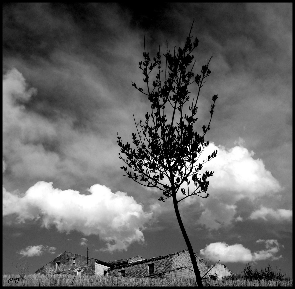 C'è aria di tempesta....