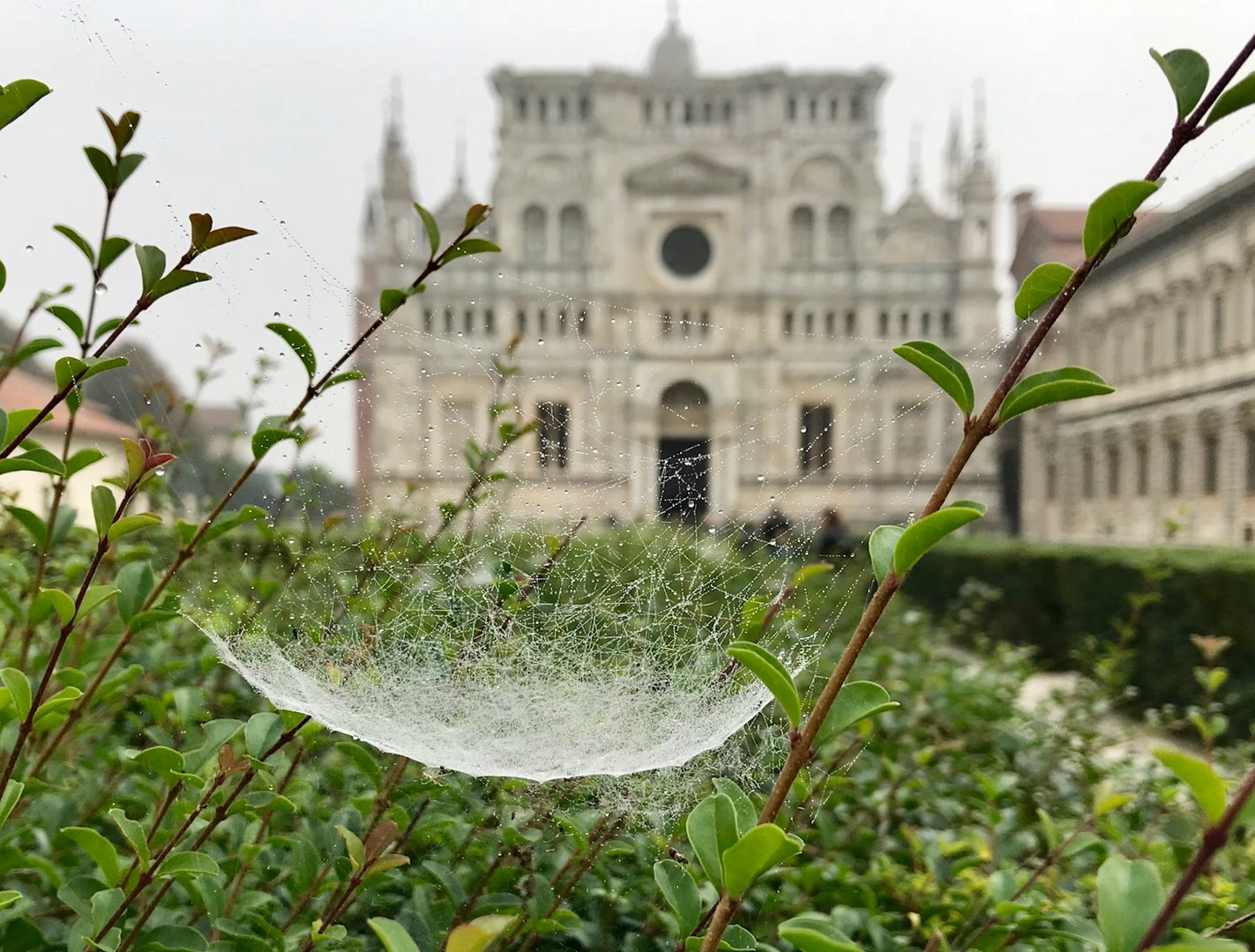 C'è arte e......arte