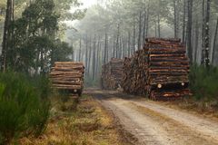 Ce chemin est répertorié comme chemin de St Jacques de Compostelle !!!